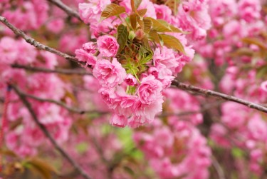 嘉兴线下个人借款平台一站式服务，轻松解决资金难题