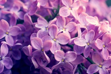 嘉兴企业急用钱贷款攻略：快速融资解燃眉之急